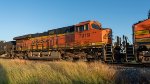 BNSF 7919